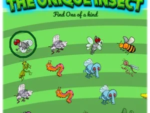 Discover the Unique World of Insects: Fun and Educational H5 Games for Kids